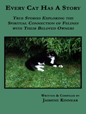 cover image of Every Cat Has A Story